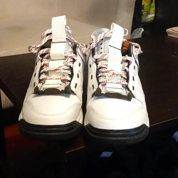 NIKE AIR DUNK RETRO JUMBO 'PHANTOM' SZ 10 FB8892-002 - Picture 3 of 8